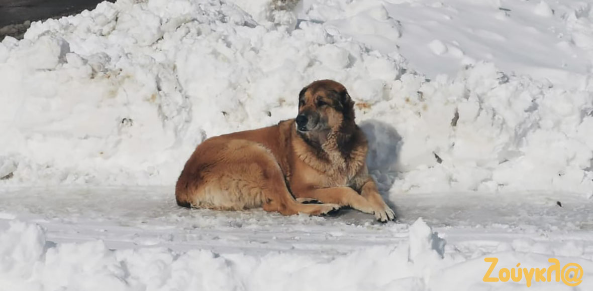 Η επόμενη μέρα